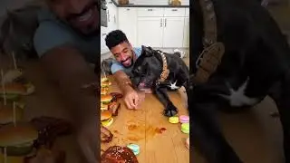 Fastest Eater Challenge!&ndash; The Dog Strikes Again! #Cat #Dog #EatingChallange #Food #Pets