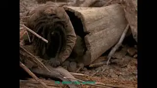 Surviving the Game (1994) Clip