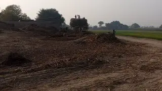 Pakistani Hindu life in Pakistan | Pakistan ke andar hinduon ki live