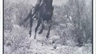 E.B. Lane Work from the 60s
