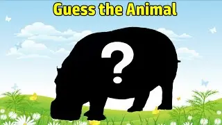 #16 Guess the Animal from their Shadow | Animal Shadow Game | Animal Silhouette Quiz #quizforkids