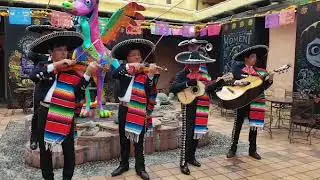 Cielito Lindo - Mariachi group at Disneyland Paris 21.11.2017