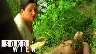 ᴴᴰ SOKO Wien Staffel 7 Folge 14 - Donauweibchen