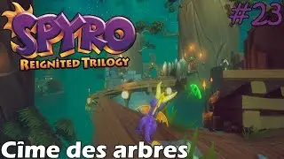 Spyro 1 - Reignited Trilogy - Cîme des arbres 100%