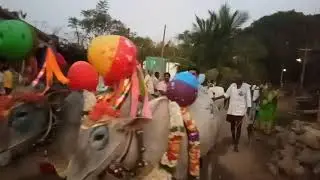 My village sankranthi festival