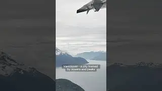 Why This $250 Seaplane Flight Is Underpriced