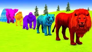 Long Slide Game With Elephant Gorilla Buffalo Hippopotamus Tiger - 3d Animal Game - Funny 3d Animals