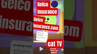 gecko Insurance app #animation #childhood #cartoon #retro #nostalgia #dreamscreenai #funny #super