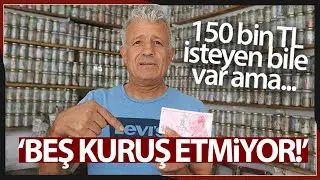 Para Koleksiyoneri Kaplan: 