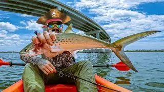 SOLO Kayak Fishing BLACKBEARDS ISLAND!!! Spanish Mackerel ATTACK!!!  Catch Clean and Cook