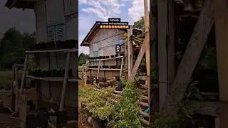 rumah minimalis modern #youtubeshorts