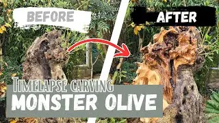 Timelapse Carving a MONSTER Olive Garden Tree