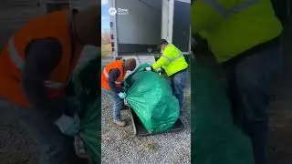 DEAD LIVESTOCK REMOVAL BURLINGTON COUNTY NJ (732) 600-1974 DEAD LIVESTOCK REMOVAL BURLINGTON COUNTY