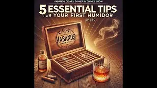 5 Essential Tips for your First Humidor