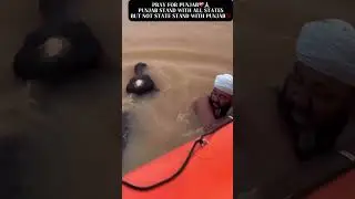 Pray for punjab 🙏#safe #punjab #floods #youtubeshorts #trendingshorts