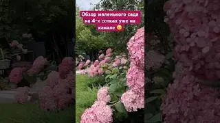 Обзор маленького сада на 4-х сотках уже на канале