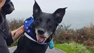 Day 3 of 75 Miles for MNDA | Short Walk in Bad Weather 🌧️🐾