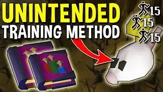 How Players Exploited These Unintended Training Methods! [OSRS]