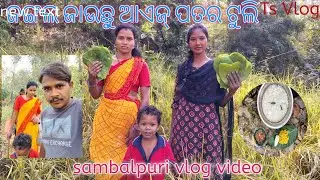  Jangal Jauchu aaji Patar Tuli Ts Vlog Sambalpuri Vlog Video 