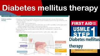 Diabetes mellitus therapy in Hindi/Urdu by first aid for USMLE step 1