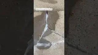Magic Crack Filler‼️ Wet It Enough to Set It‼️ #diy #concrete