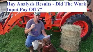 Hay Analysis Report Is In! Did Our Efforts Pay Off?