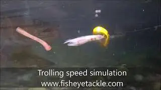 SquidRfly Walleye Crawler Harness - fisheyetackle.com
