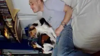 Hundesong@