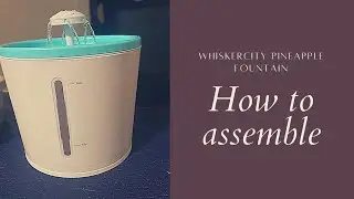 How to set up the Whisker City Pineapple Fountain