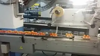 FLOWPACK BF 100 H SINCRONIZADA PLUS