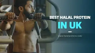 Best Halal Protein in UK
