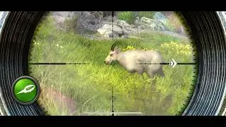 Hunting Clash Walkthrough Gameplay Challenges Upgrades 2023