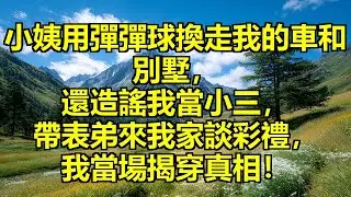 小姨用彈彈球換走我的車和別墅，造謠我當小三流產，表弟帶女友來我家門口談彩禮，我當場揭穿女友身上的包是我送的！ #白眼狼小姨 #造謠反噬 #別墅爭奪