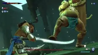 Prince of Persia - Undead Prisoner (Immortal/No Damage)