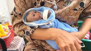 [So Cute & Adorable] Lil Jessie WellWrapped In Warm Towel