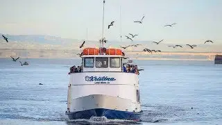 Long Beach Harbor Cruise - The boat Kristina, LB California