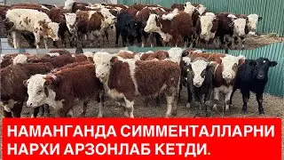 ВА НИХОЯТ НАМАНГАНГАХАМ СИММЕНТАЛ БУҚАЛАР АРЗОН НАРХДА ЙТИБ КЕЛДИ. 