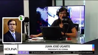 Radio Duna / Entrevista a Juan Jos&eacute; Ugarte, Presidente CORMA, sobre ataques incendiarios en el sur