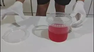 500ml Plastic Food Bucket | Leak-Proof Water Test & Step-by-Step Usage Guide