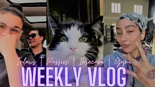 WEEKLY VLOG: MEET THE INLAWS | PUSSY MAINT. | CARDIO | INSECURE S5 E5-E10 REACTION | GIFT REVEAL