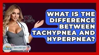 What Is The Difference Between Tachypnea And Hyperpnea? - Ask A Pet Vet