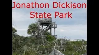Walking Jonathan Dickinson State Park Observation Tower hike