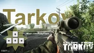 My First Time Playing Tarkov! *FUNNY*