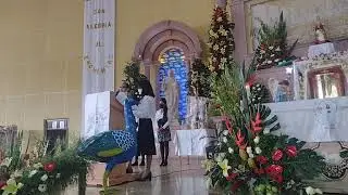 MISA DE HOY FIESTA DE CRISTO REY 2022 | PADRE JUANJO CHIMALHUAC&Aacute;N