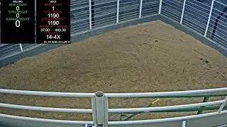 Everson Auction Market Live Stream 1/28/2026