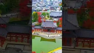 美しい日本🇯🇵 #japan #tokyo #kyoto #sun #4k #beautifuljapan #mtfuji #japanesemountain #travel