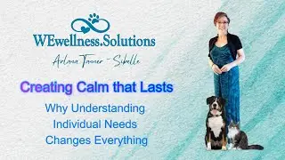 Dog Lovers Festival Calm Connection Talk and Invitation