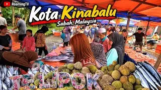 SABAH TAMU TELIPOK FULLTOUR🛑KOTA KINABALU LATEST‼️