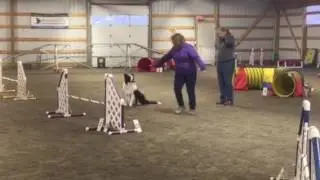 Agility lesson 3/1/17
