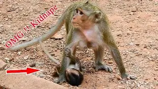 OMG !! Why Mum Patty Monkey Doing On Adorable Baby Patricia Like This